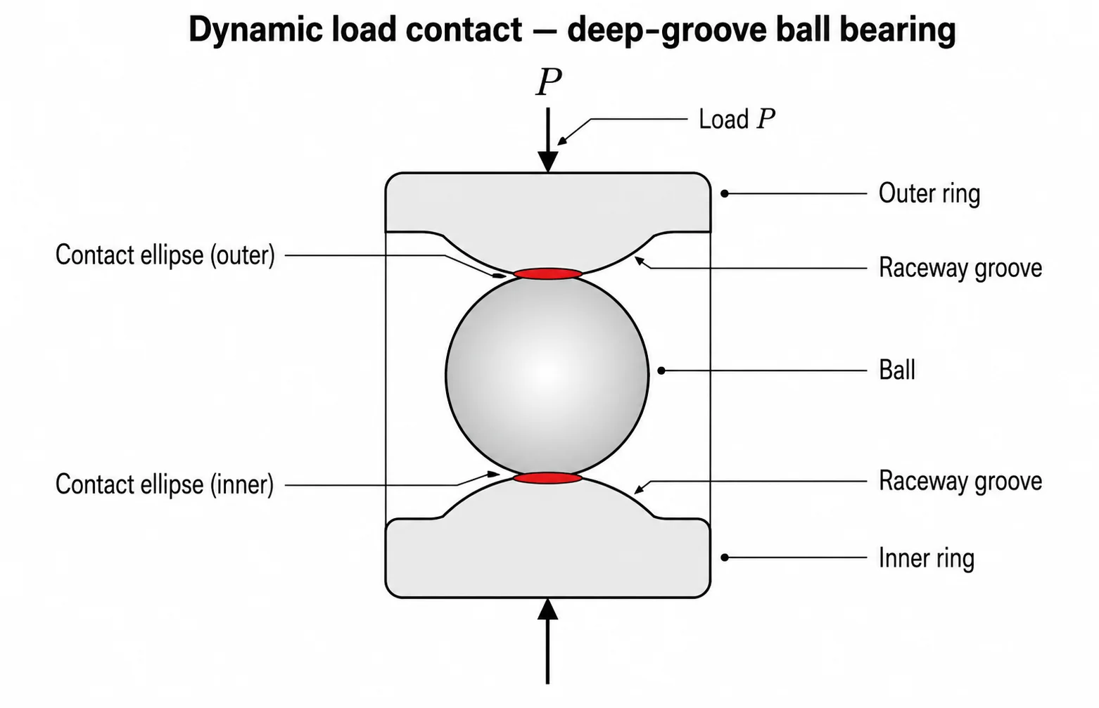 Cross-section of a deep groove ball bearing showing the contact ellipse between the rolling element and raceway under dynamic load